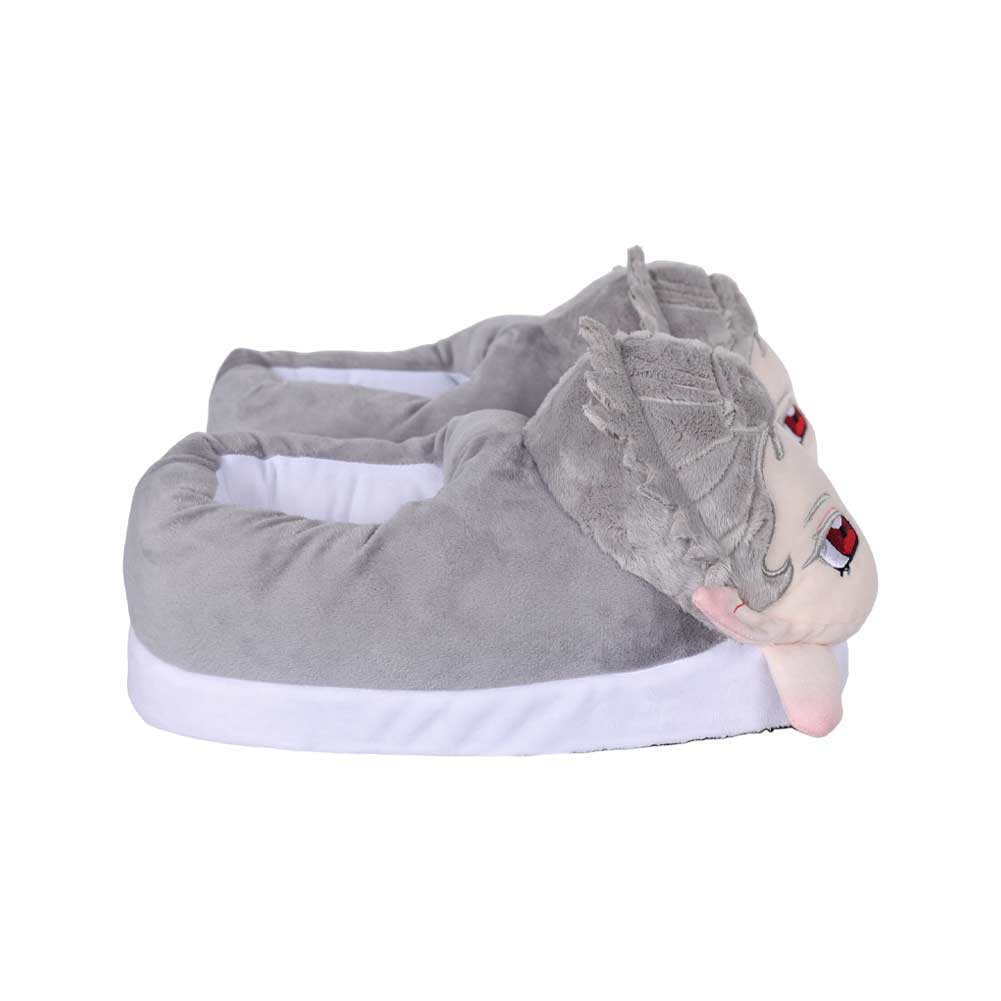 Gray Astarion Plush Slipper Shoes For Adult Winter Warm Cozy Fluffy House Slippers Plush Shoes